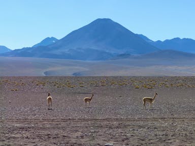 Visiting Patagonia & Antarctica