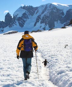 南极洲游轮提供探索第七大陆的机会