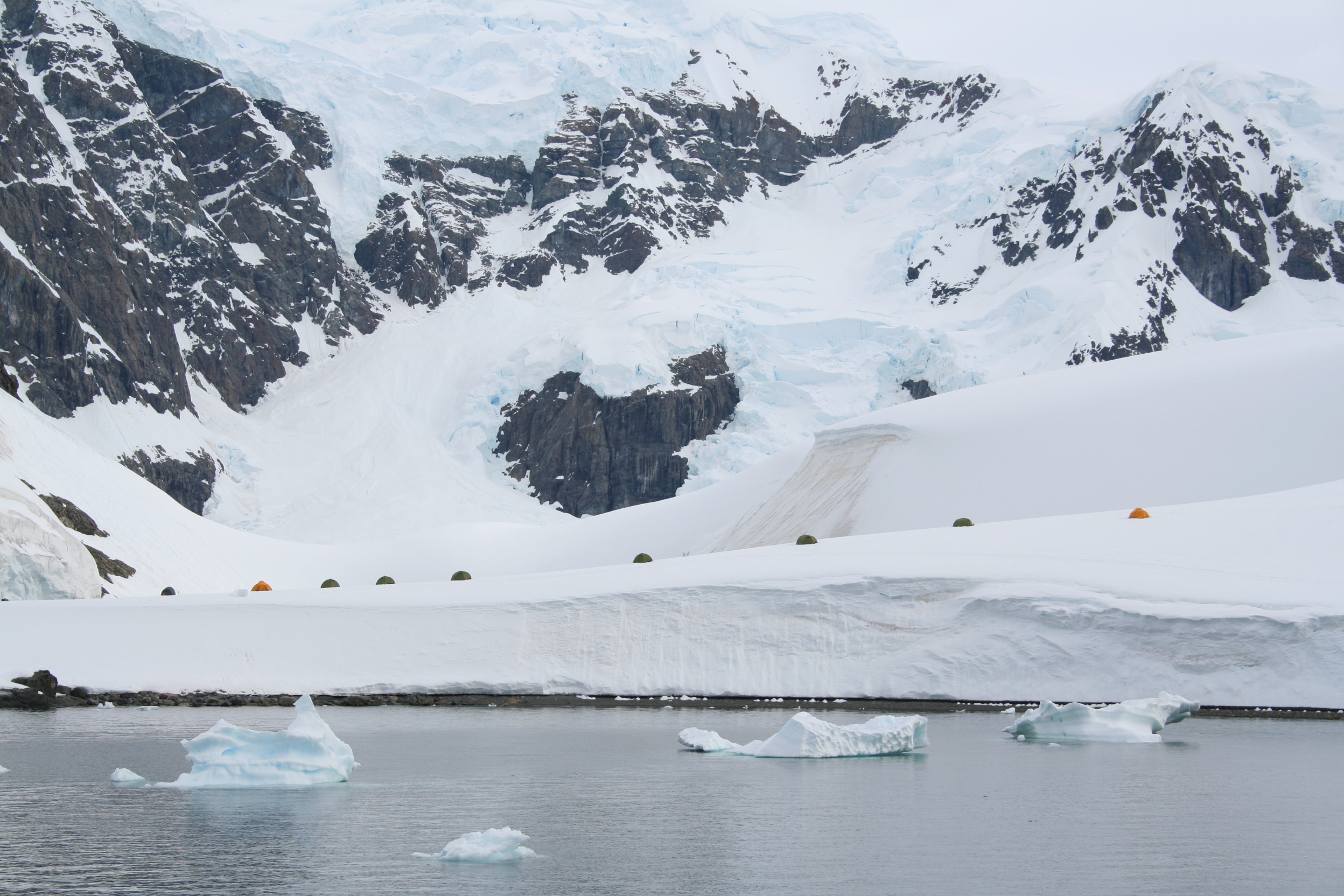 Paradise Harbour Landmark Information Swoop Antarctica
