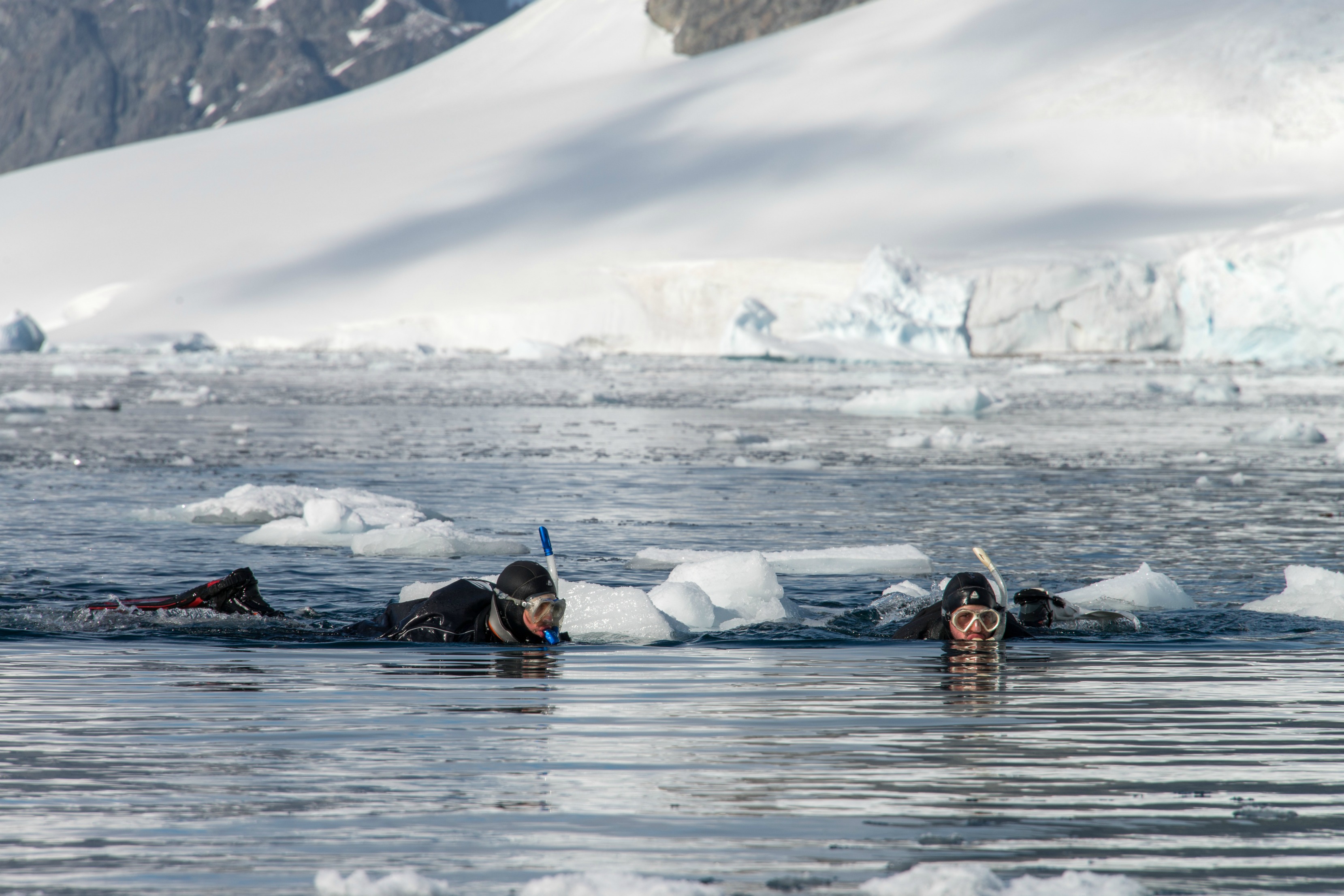 Scuba Diving in Antarctica Swoop Antarctica