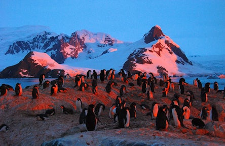 Antarctic film & literature