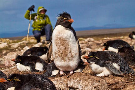 参观福克兰群岛