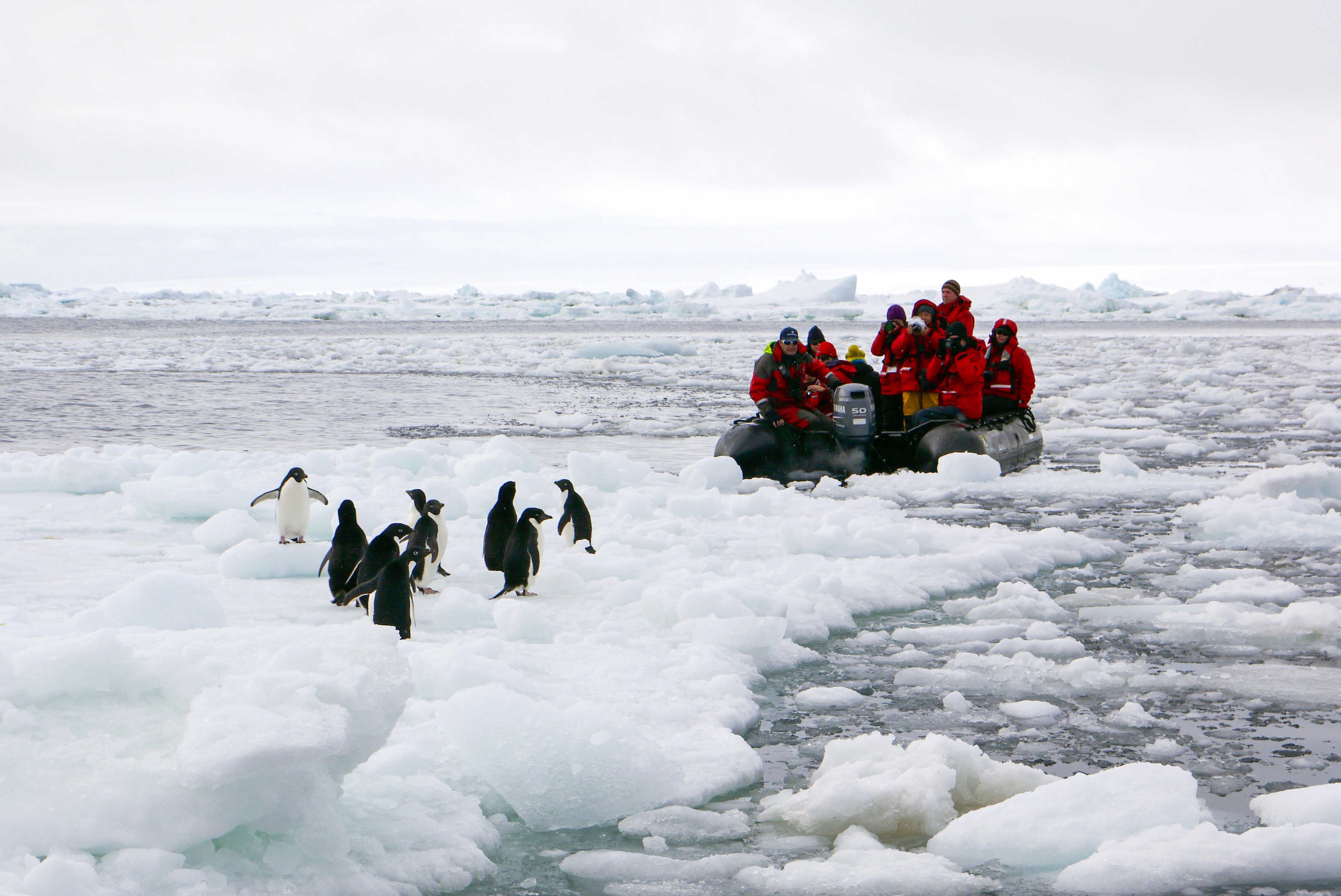 visit antarctica in march