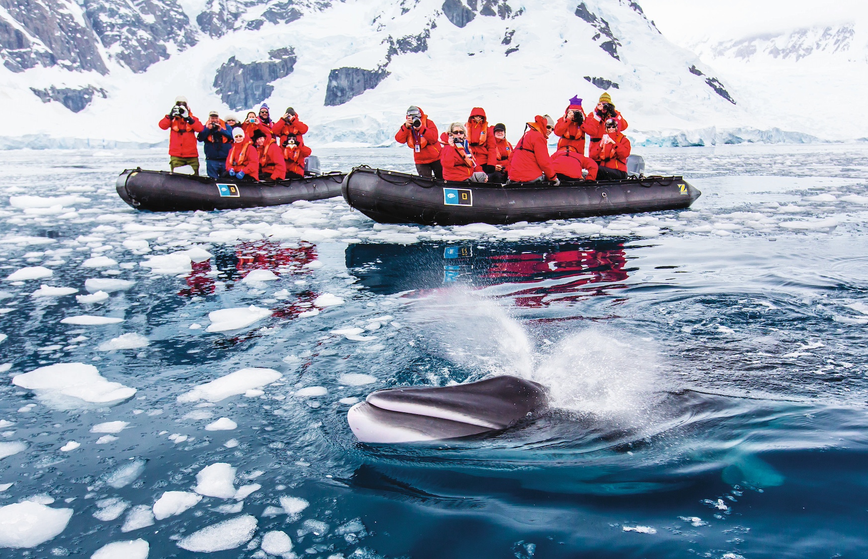 National Geographic Antarctica Cruise - Explorer Ship