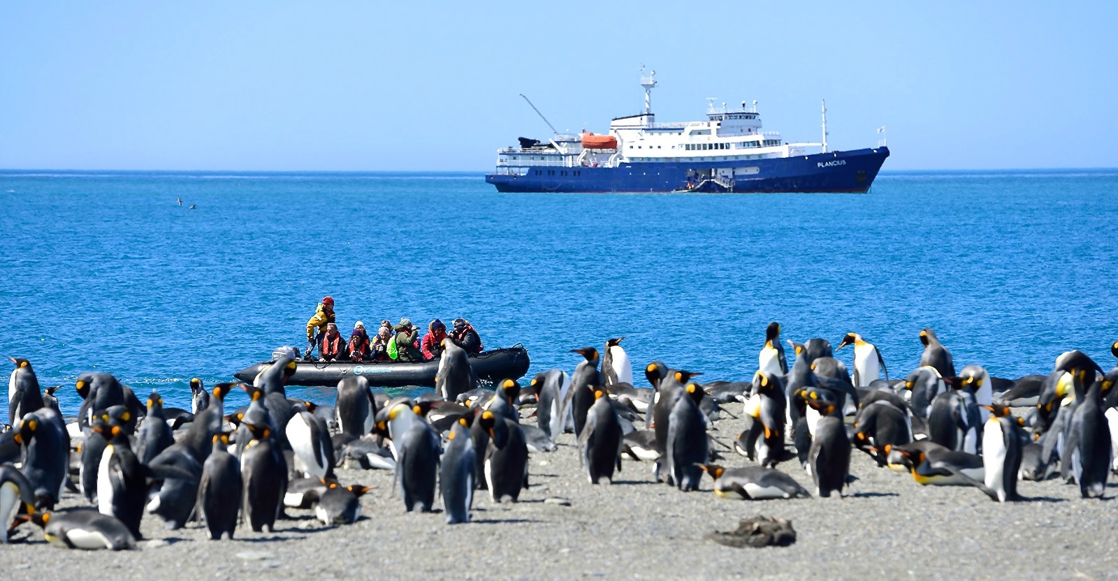Plancius - Ship Reviews & Cabin Guide | Swoop Antarctica
