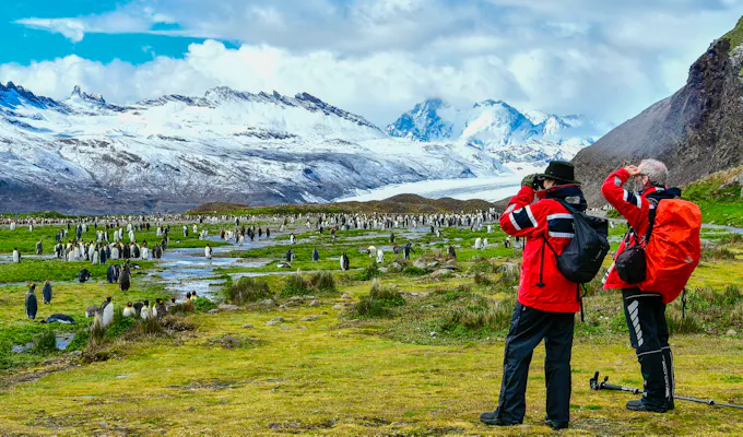 South Georgia, Antarctica and Falklands Explorer