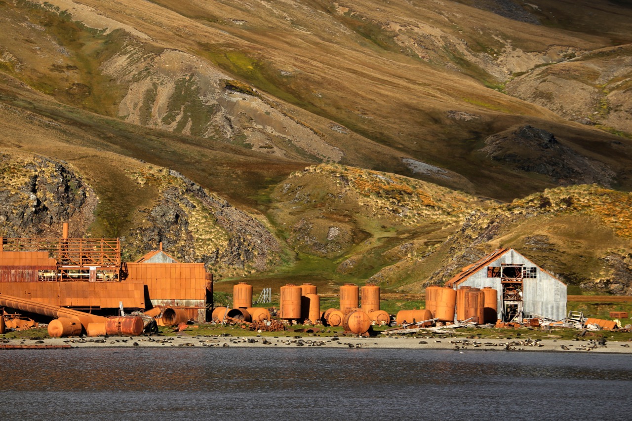 South Georgia Island History