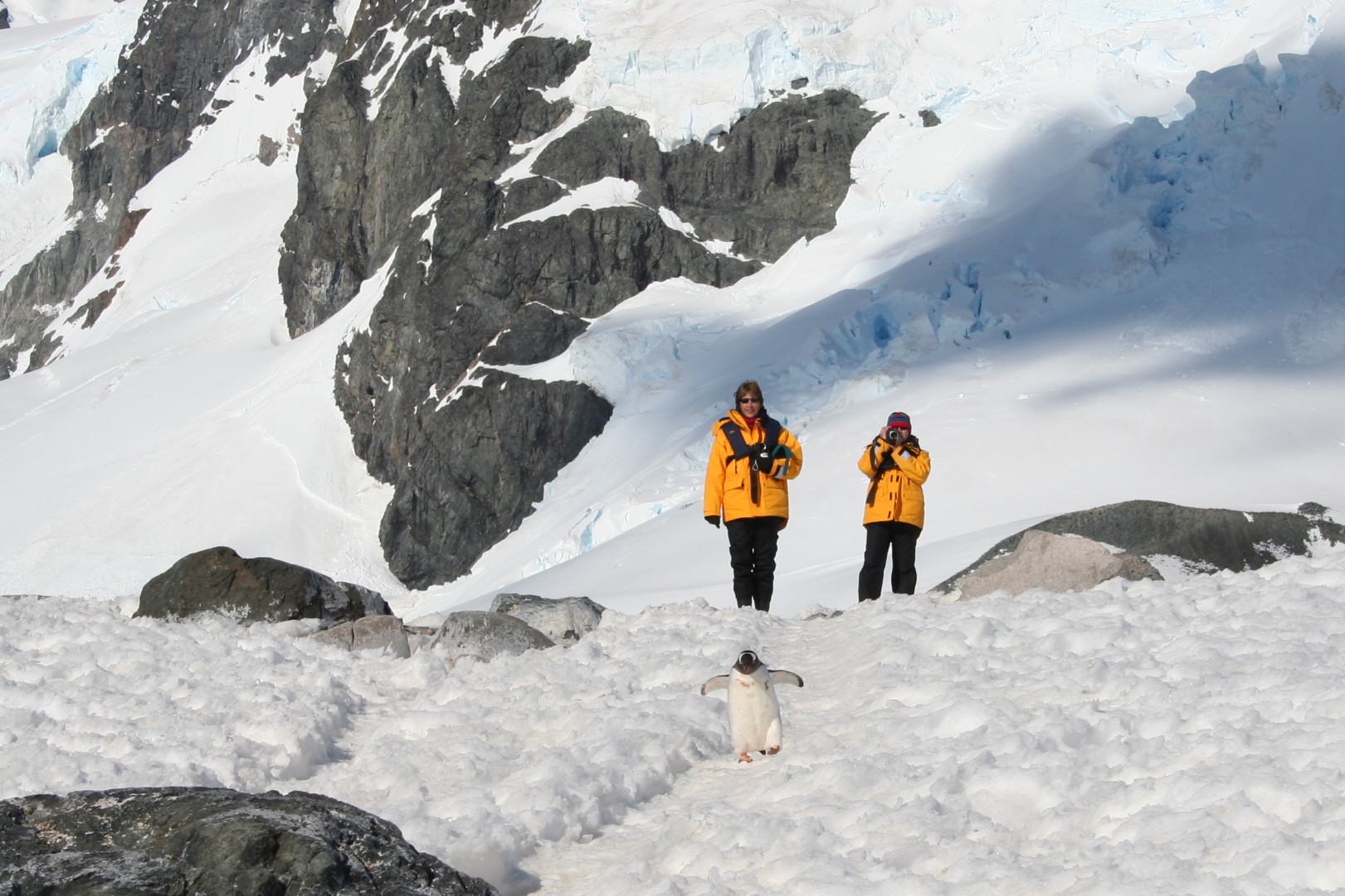 Flights To Antarctica Swoop Antarctica