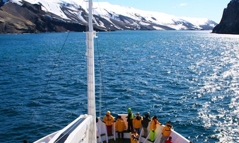 How Can Swoop Antarctica Help You?