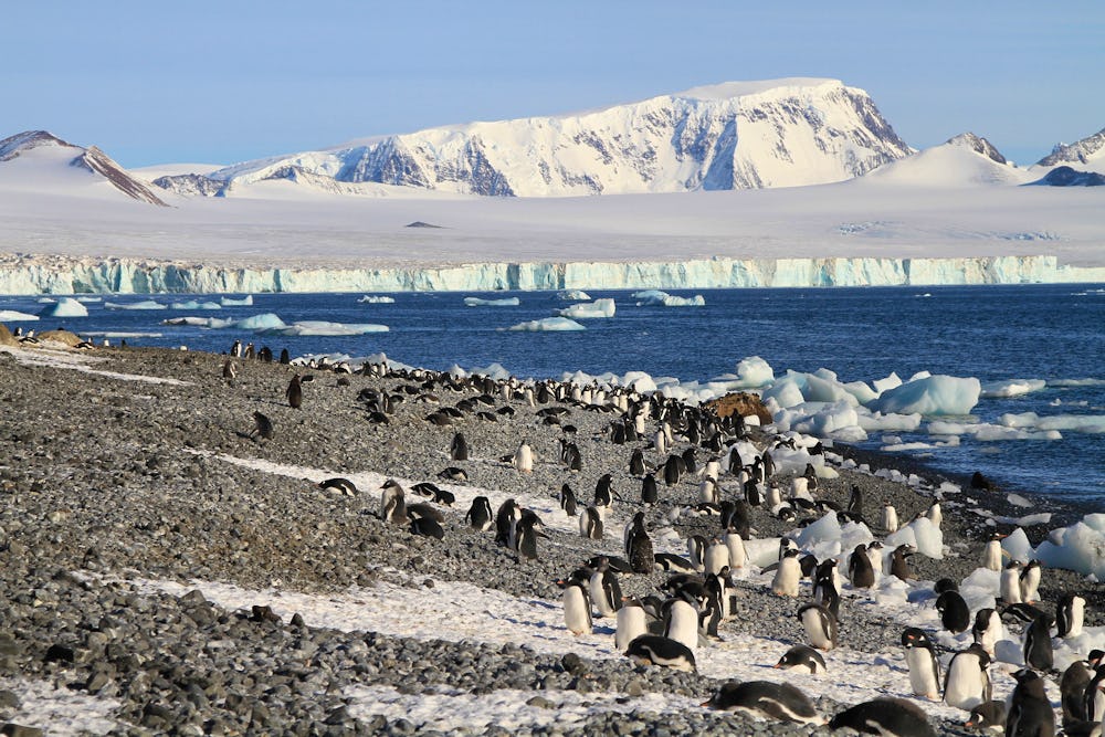 Weddell Sea Cruises