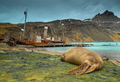 Grytviken