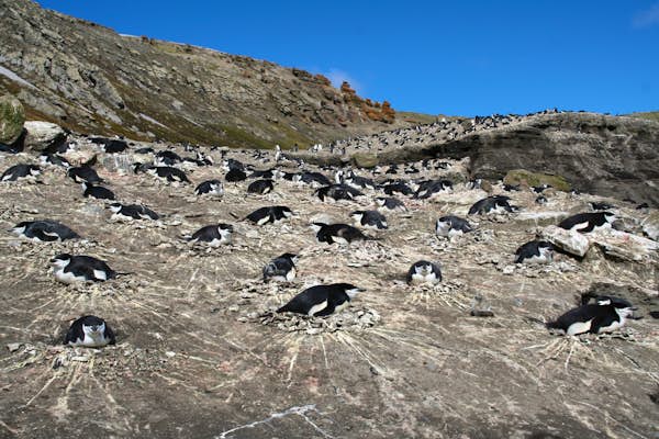 Onto the Antarctic Ice